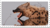 spotted hyena