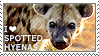 spotted hyena